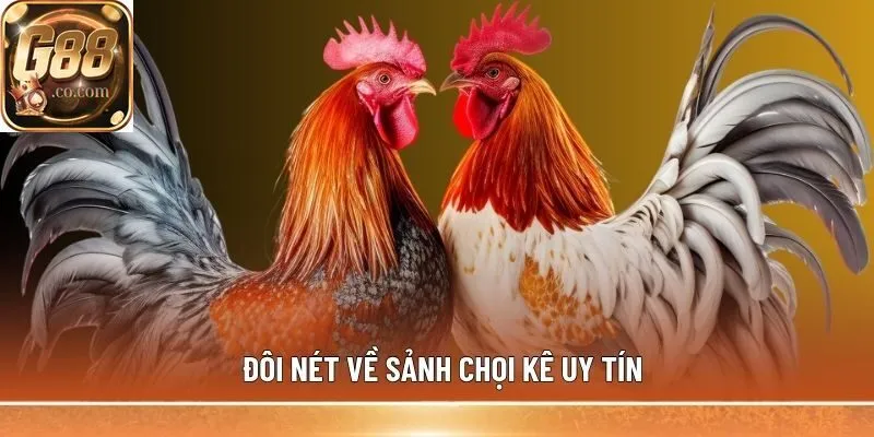 Đôi nét về sảnh chọi kê uy tín