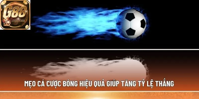 Mẹo cá cược bóng hiệu quả giúp tăng tỷ lệ thắng